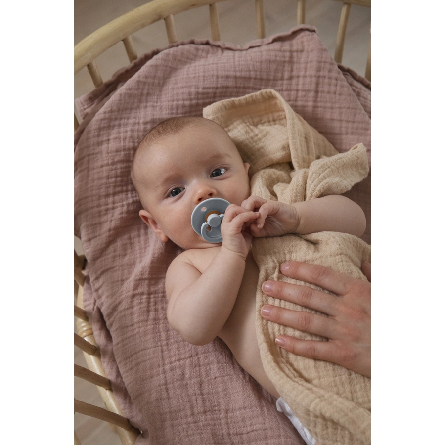 BIBS® Schnuller Colour Baby Blue  Iron 0-6 Monate, 2 Stk.
