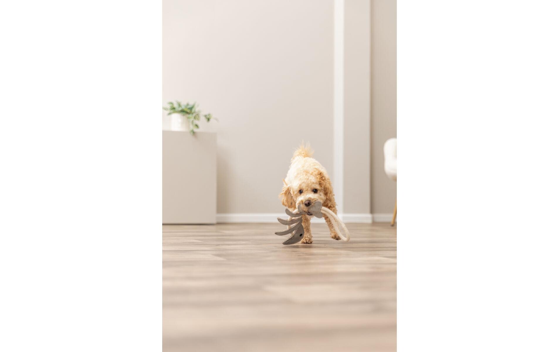 Hunde-Spielzeug Fischgräte am Tau 43 cmLederspielzeug für Hunde