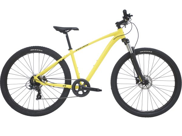 Centurion Violator 8 29
