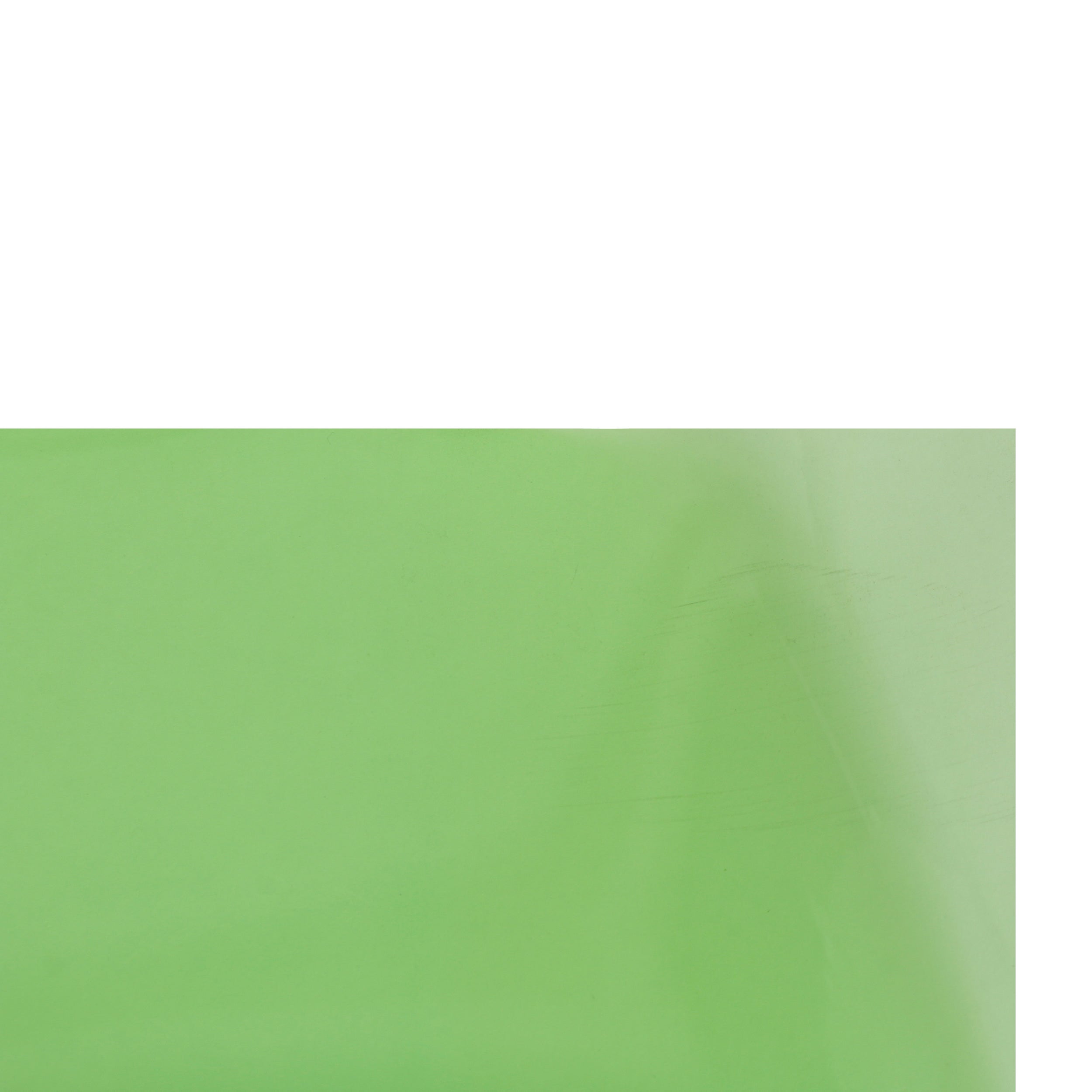 LEE filter 120 x 50cm 244 lee plus green