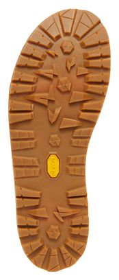 Sandales de Randonnée Danner Joseph Leather Noir