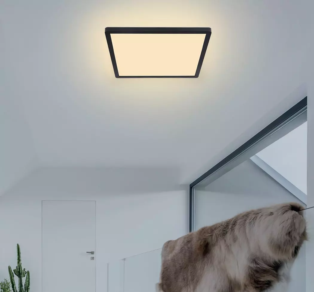 LED-Deckenleuchte Sapana
