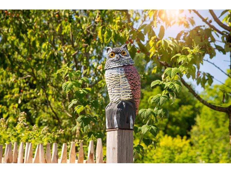 Windhager Vogel-Abwehr, Eule 1 Stück Vertreibt Elstern, Krähen, Raben und Tauben