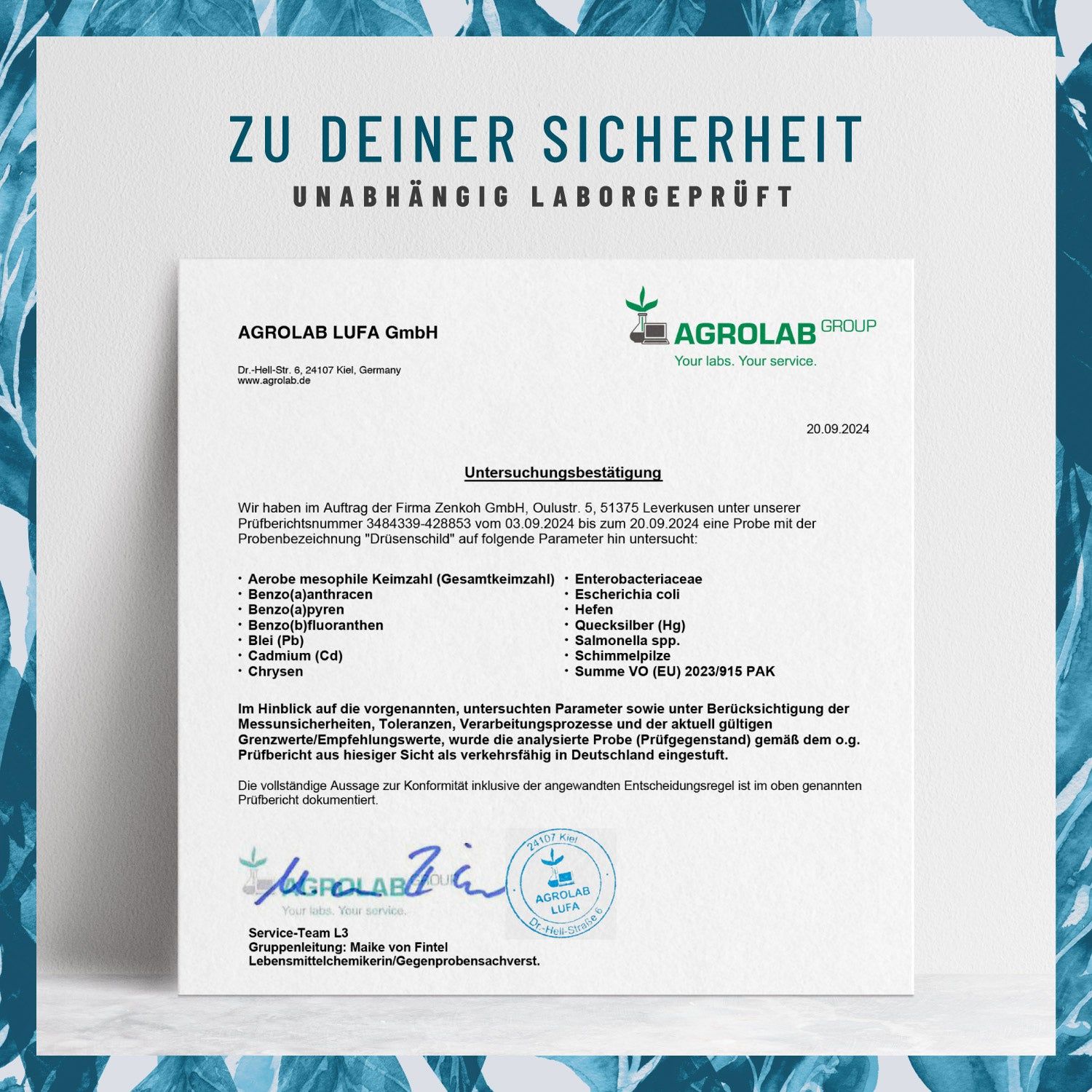 Jod (Kelp) & Selen Komplex mit Thymian - Schilddrüse Kapseln - Drüsenschild - NATURTREU®
