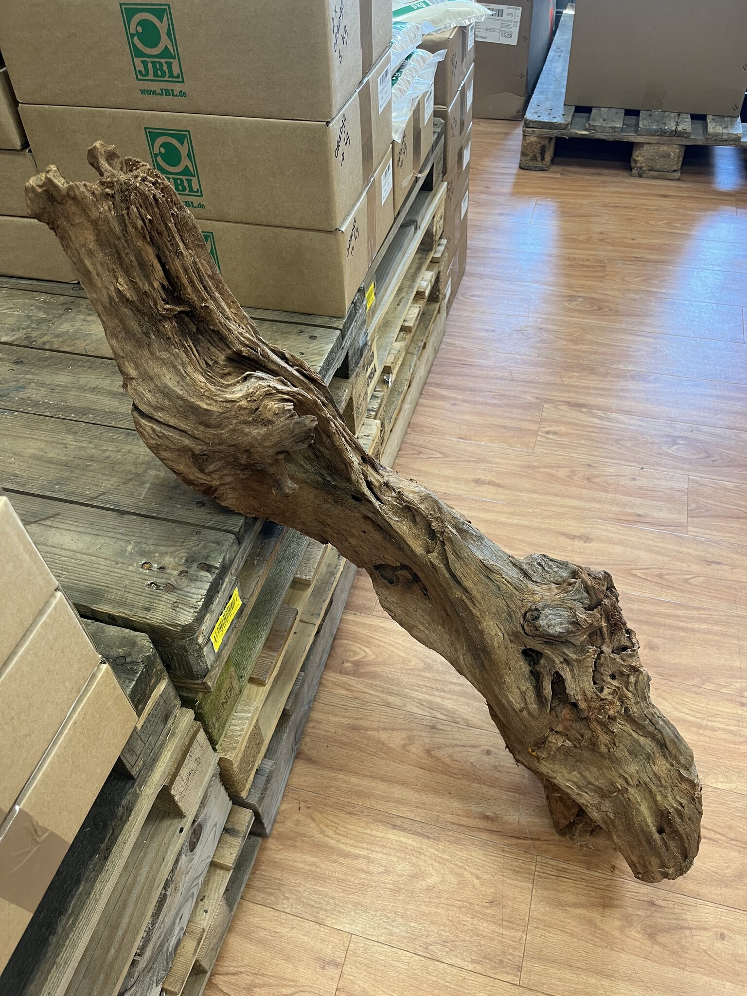 AQXL Selected Mangrovehout XL NR04 90-120cm