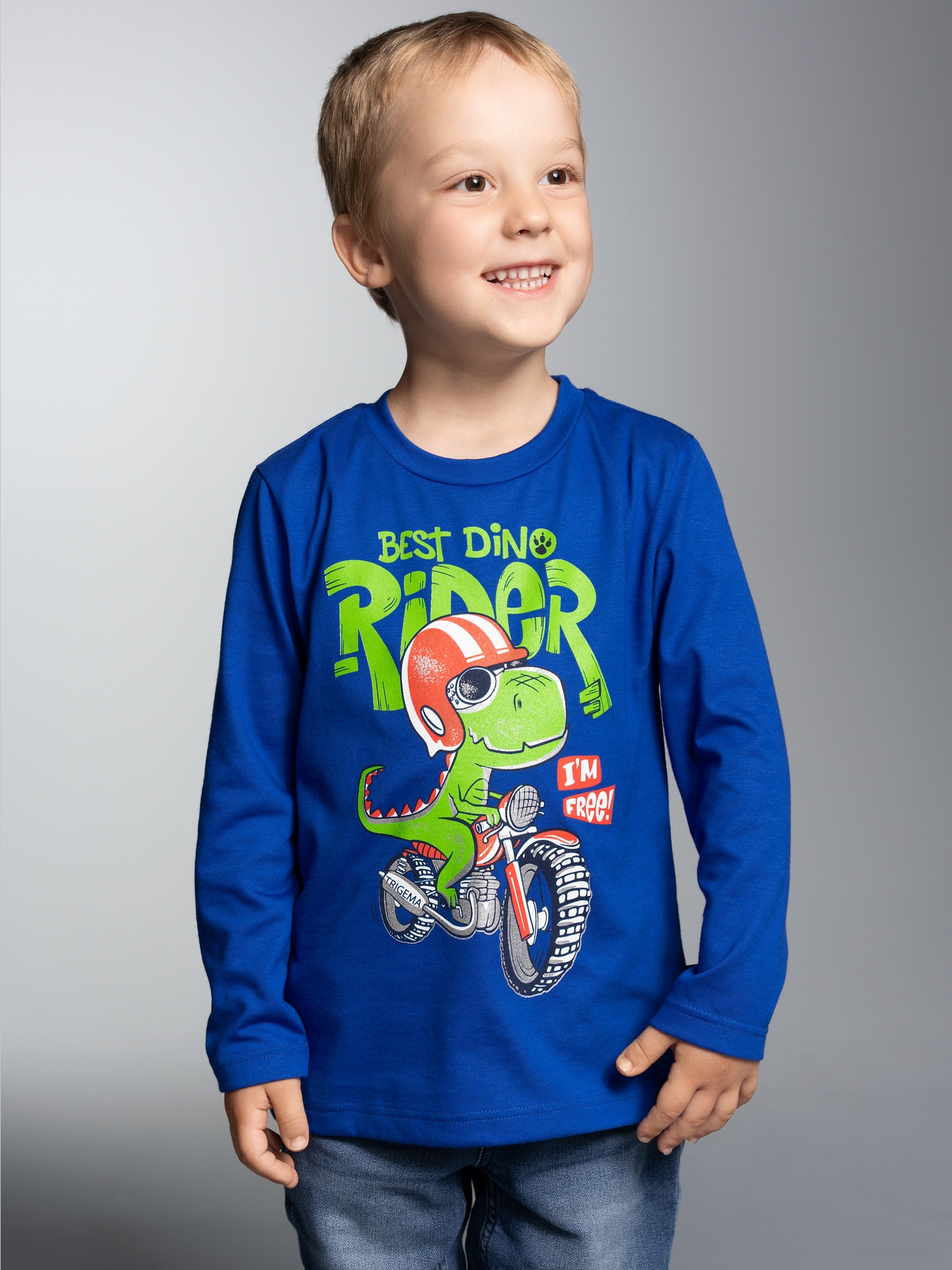 Langarmshirt mit coolem Dino-Printmotiv Royal