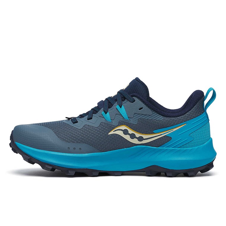 Saucony Peregrine 14 Dam Mirage/Viziblue