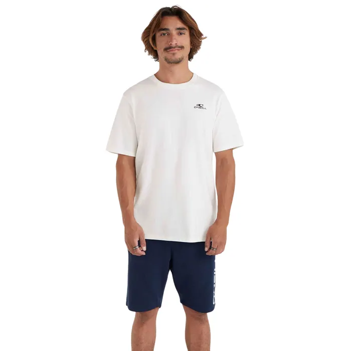 O'Neill Small Logo Shirt Heren