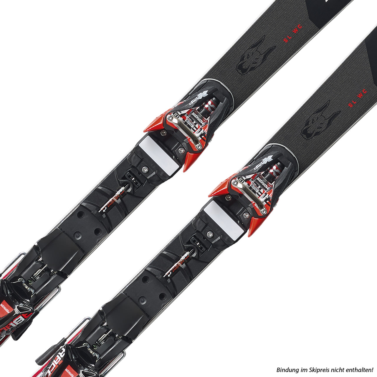 Nordica Dobermann SL Race Plate (U16/U14) | Nordica Rennski | Nordica Skier | Nordica | N | MARKEN | XSPO