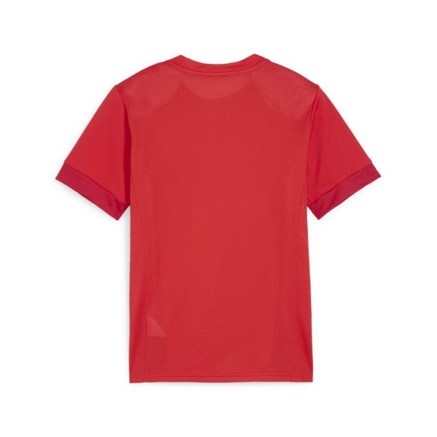 PUMA T-shirt d'Entraînement teamGOAL - Rouge/Blanc Enfant