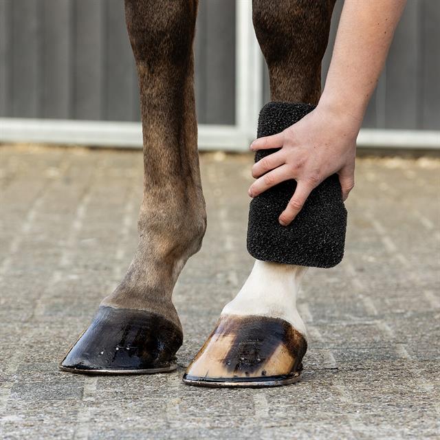 Spons QHP Equi Super Shiner Zwart