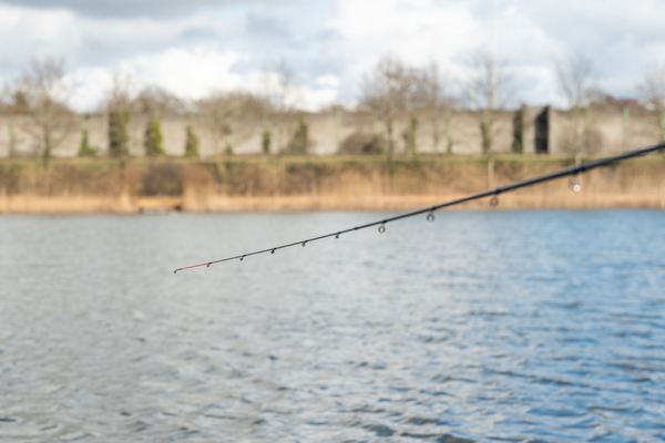 Canne Feeder Ultimate Method Mind 3.30m (20-70g)