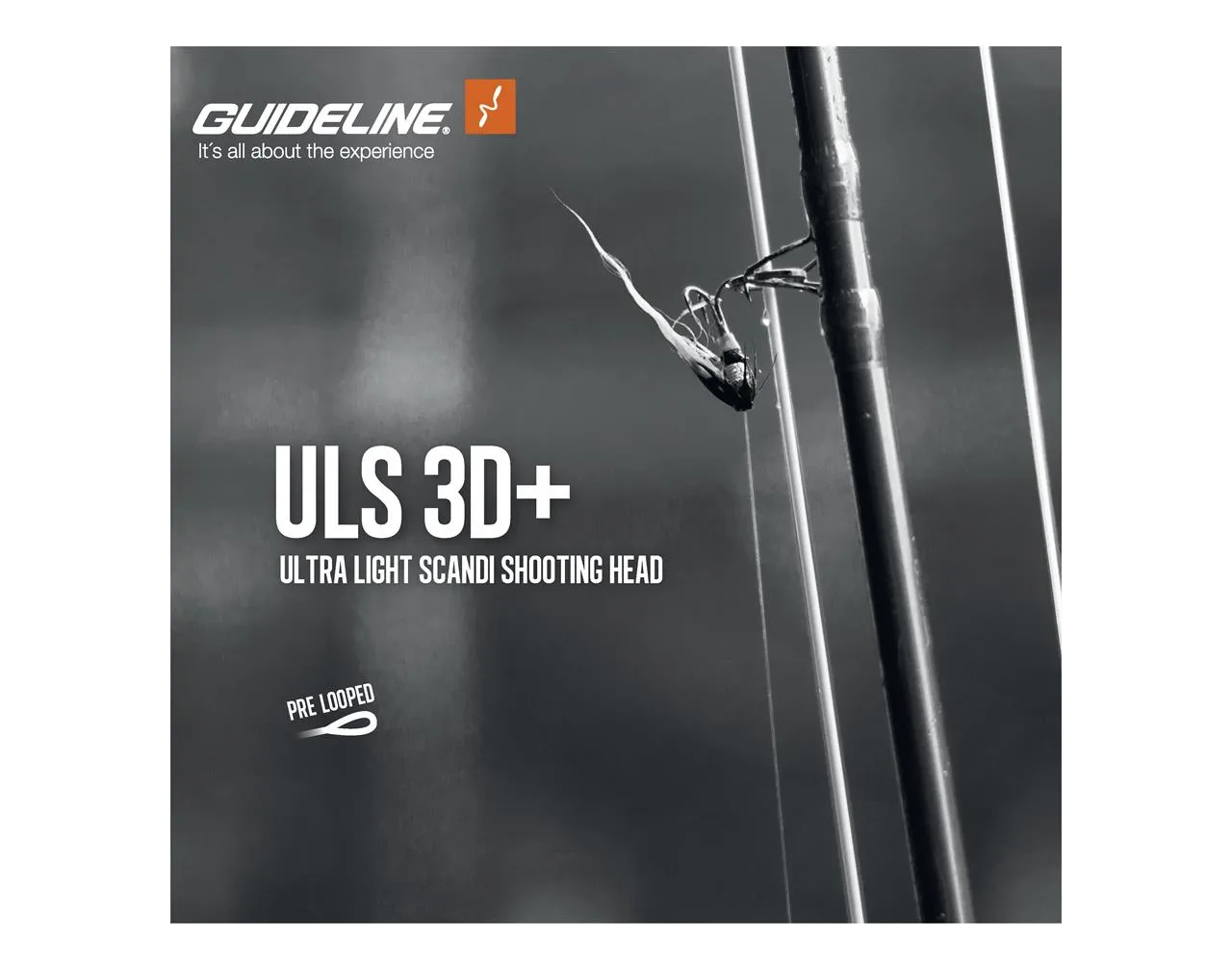 Guideline Guideline Uls 3d+