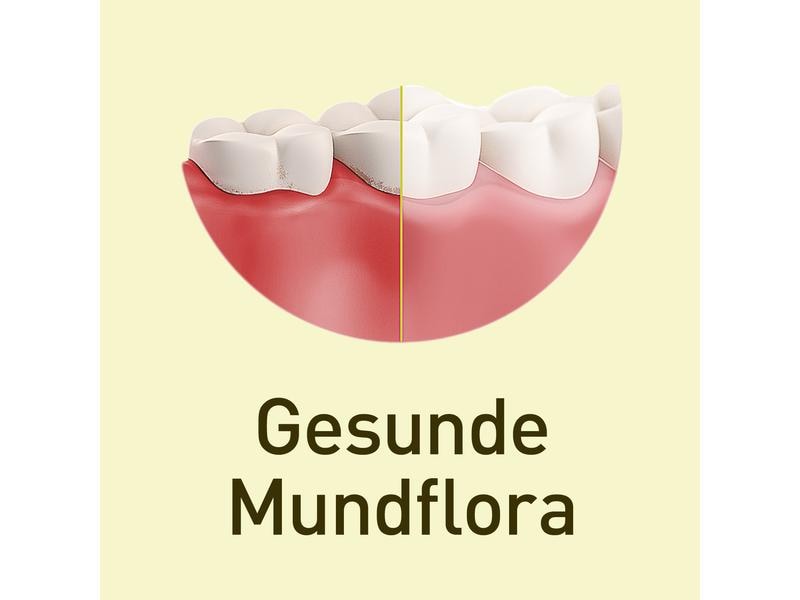 nupure probadent 30 Lutschtabletten Probiotika Lutschtabletten bei Mundgeruch
