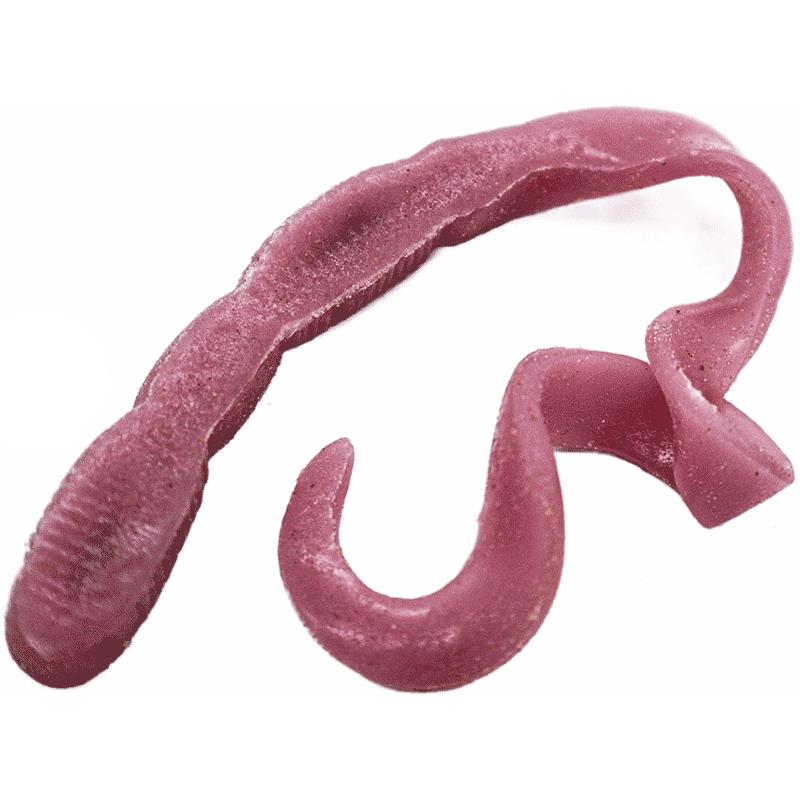 Leurre Souple 10Ftu Candeel - 20.3Cm - Par 6