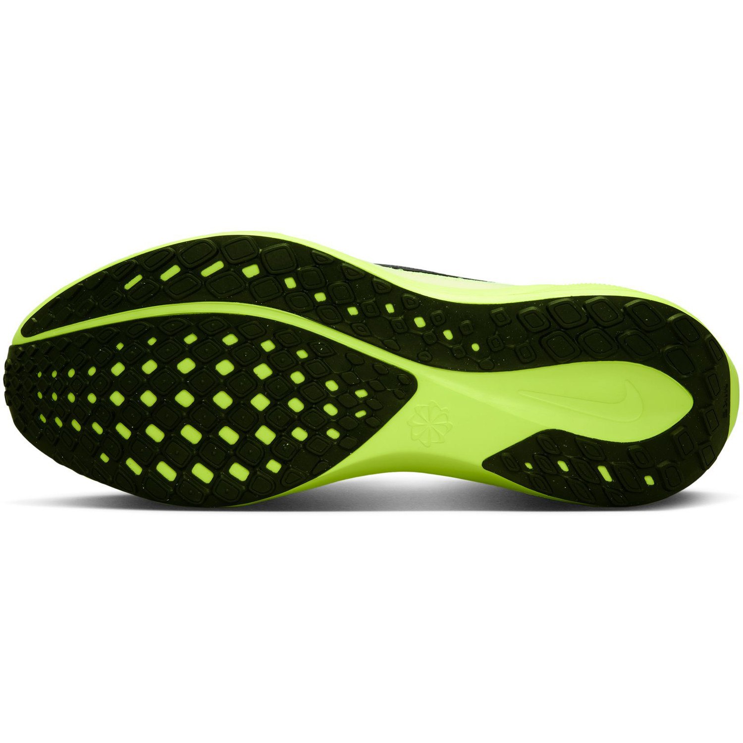 Nike Pegasus 41 Heren