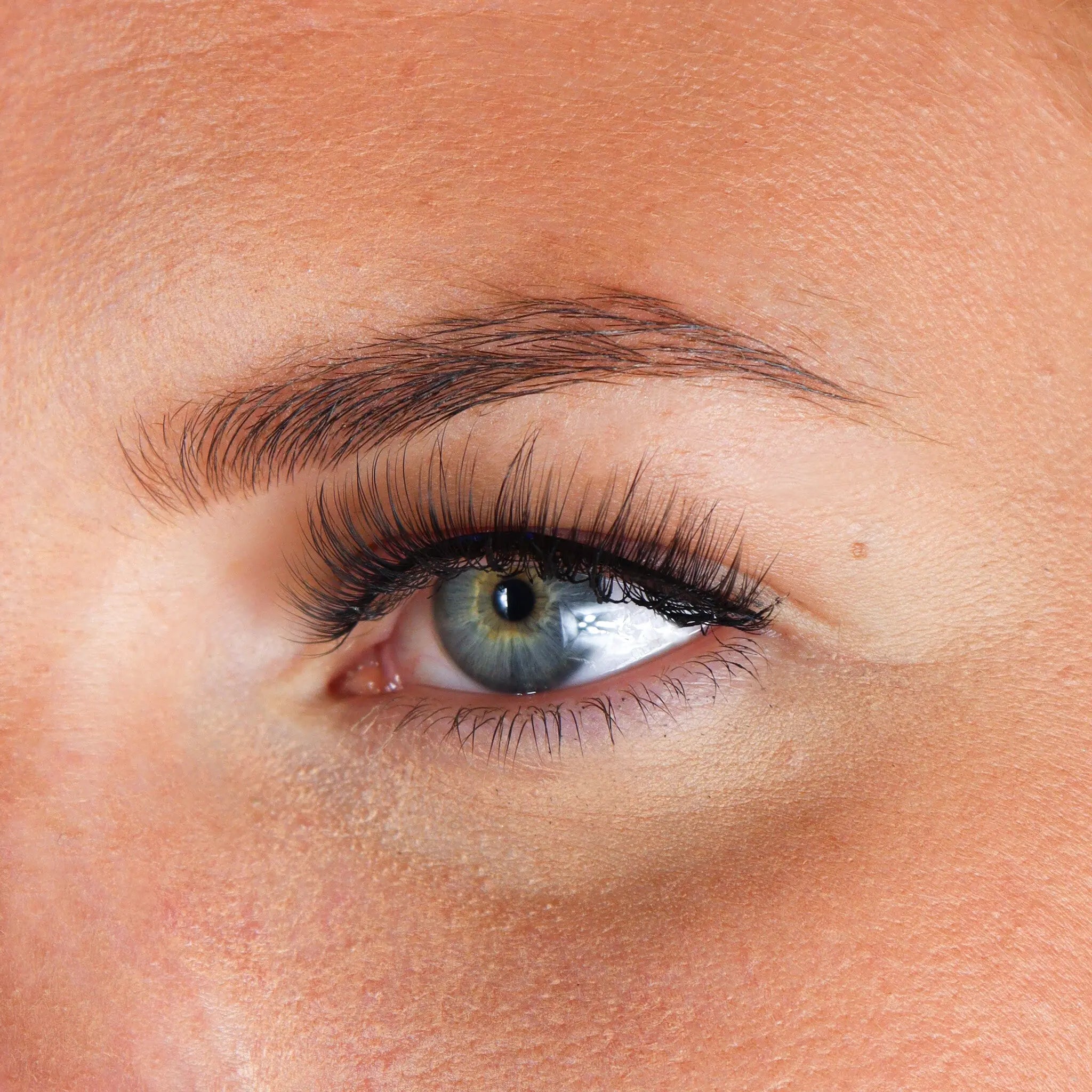 Lashes Maxime