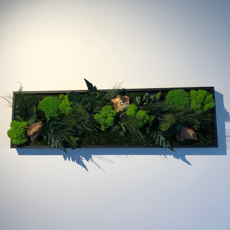 Stab canope panoramic - noir 20x70