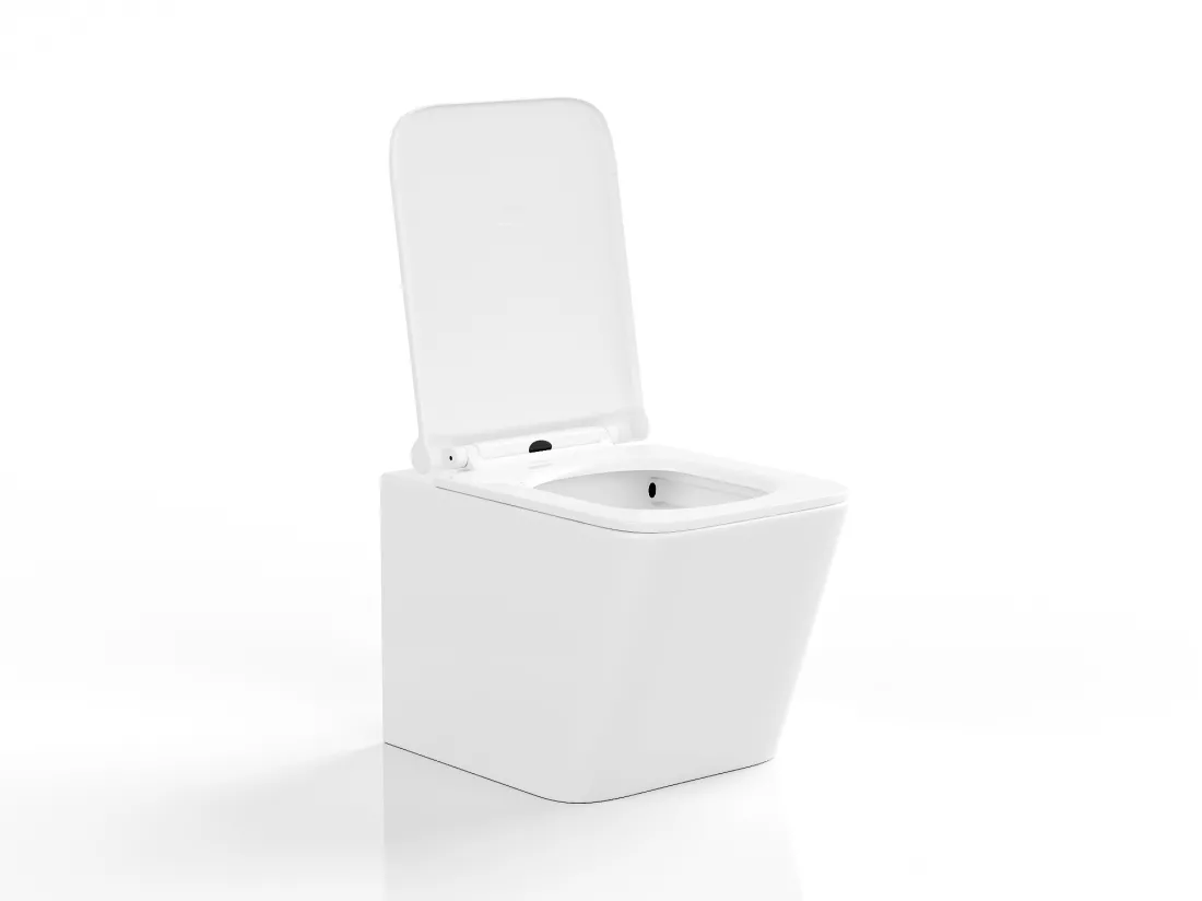 WC suspendu blanc brillant en céramique sans bride - CLEMONA