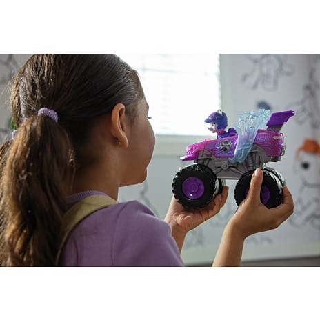 Paw patrol feature vehicle - Roxi