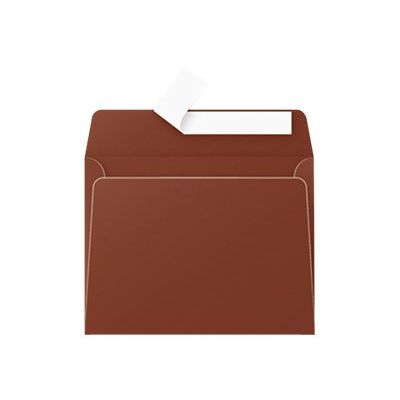 Pollen - 20 Enveloppes - 90 x 140 mm - 120 g/m² - chocolat