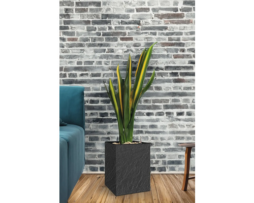 Cubico Stone plantenbak met plantenbak, kunststof, 27 x 27 x 42 cm, antraciet