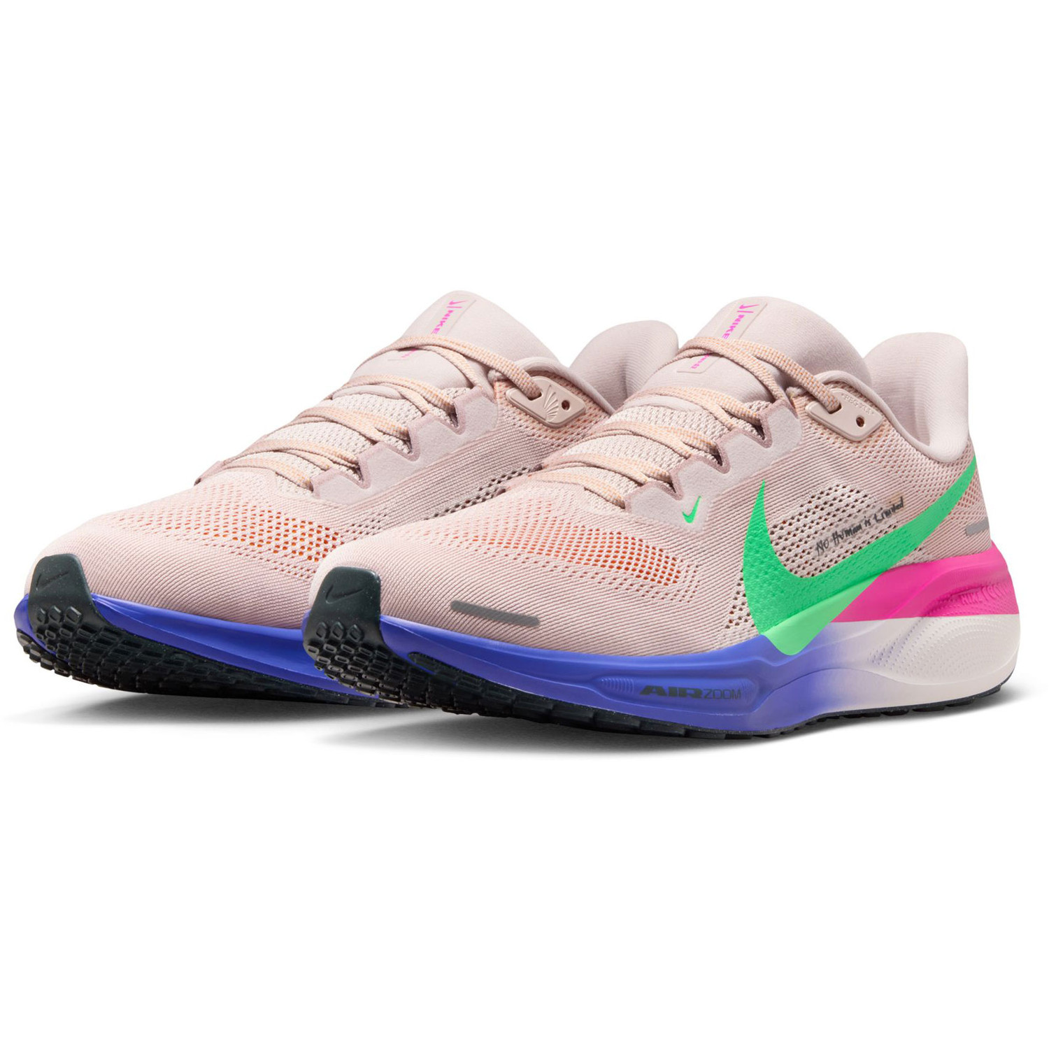 Nike Pegasus 41 EK Heren