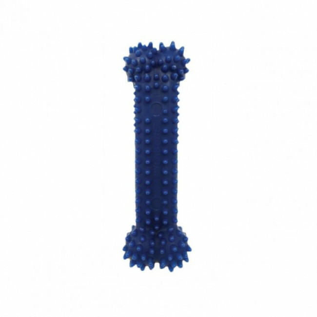 Jouet à mâcher pour chien Nylabone Dental Chew Bleu