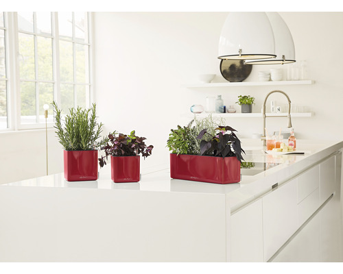 Lechuza Glossy Triple kunststof bloembak 40x14x14 cm rood incl. zelfbewateringssysteem en plantinzet