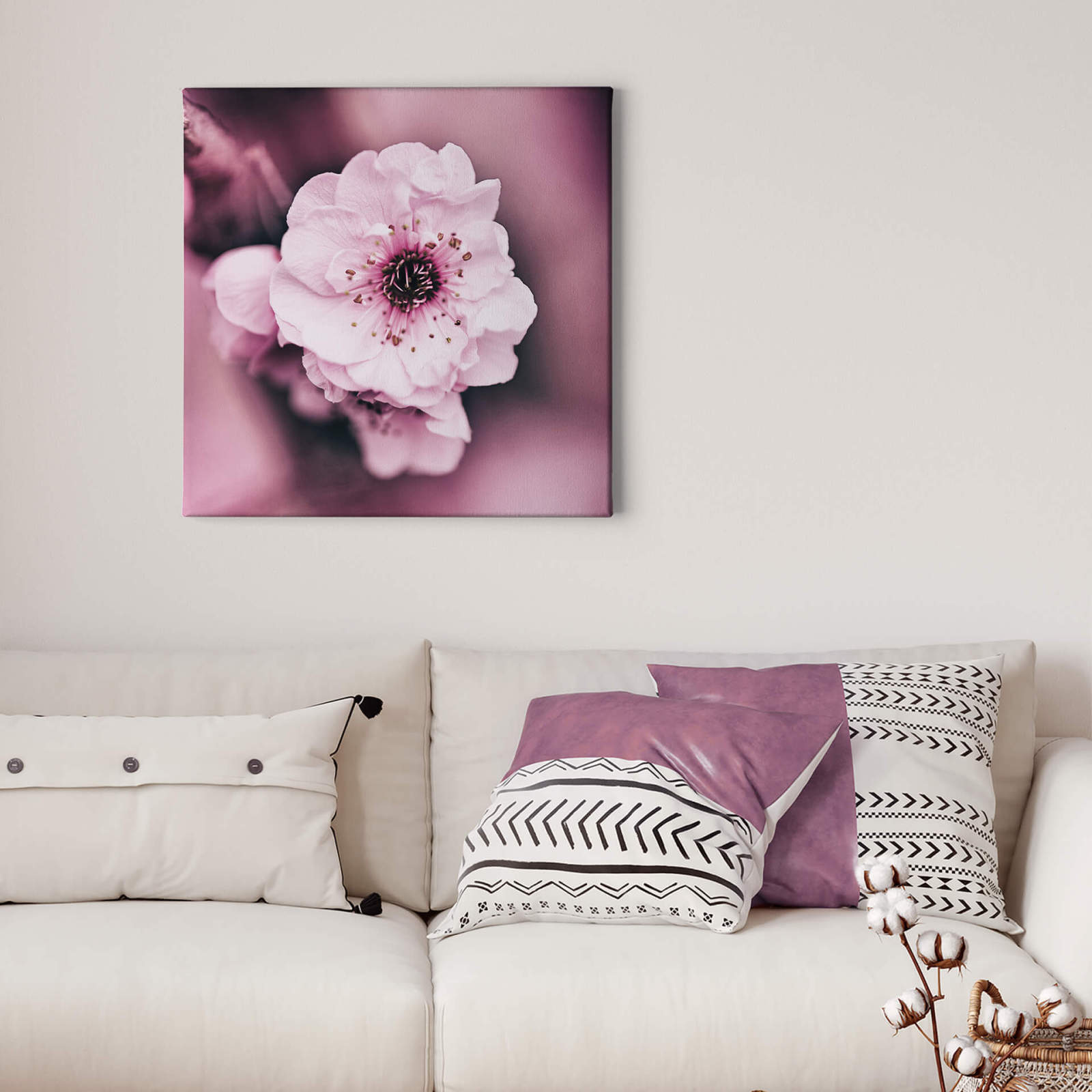 Leinwandbild BLÜTE - weiß-rosa - 50x50 cm
