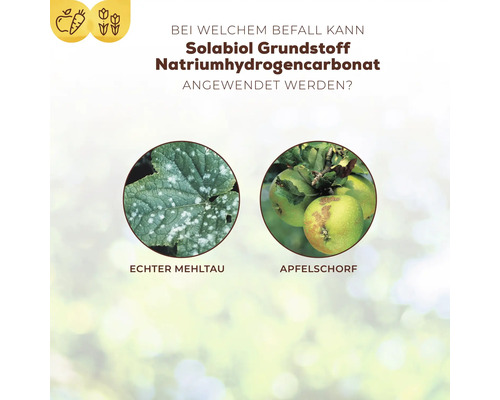 Basis ingrediënt natriumbicarbonaat Solabiol plantenversterker 350 g tot 100 L spuitoplossing