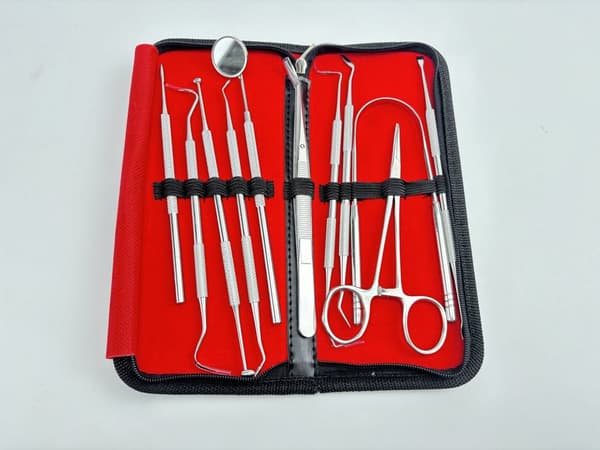 INF Tannhygieneverktøysett i rustfritt stål - 11 deler