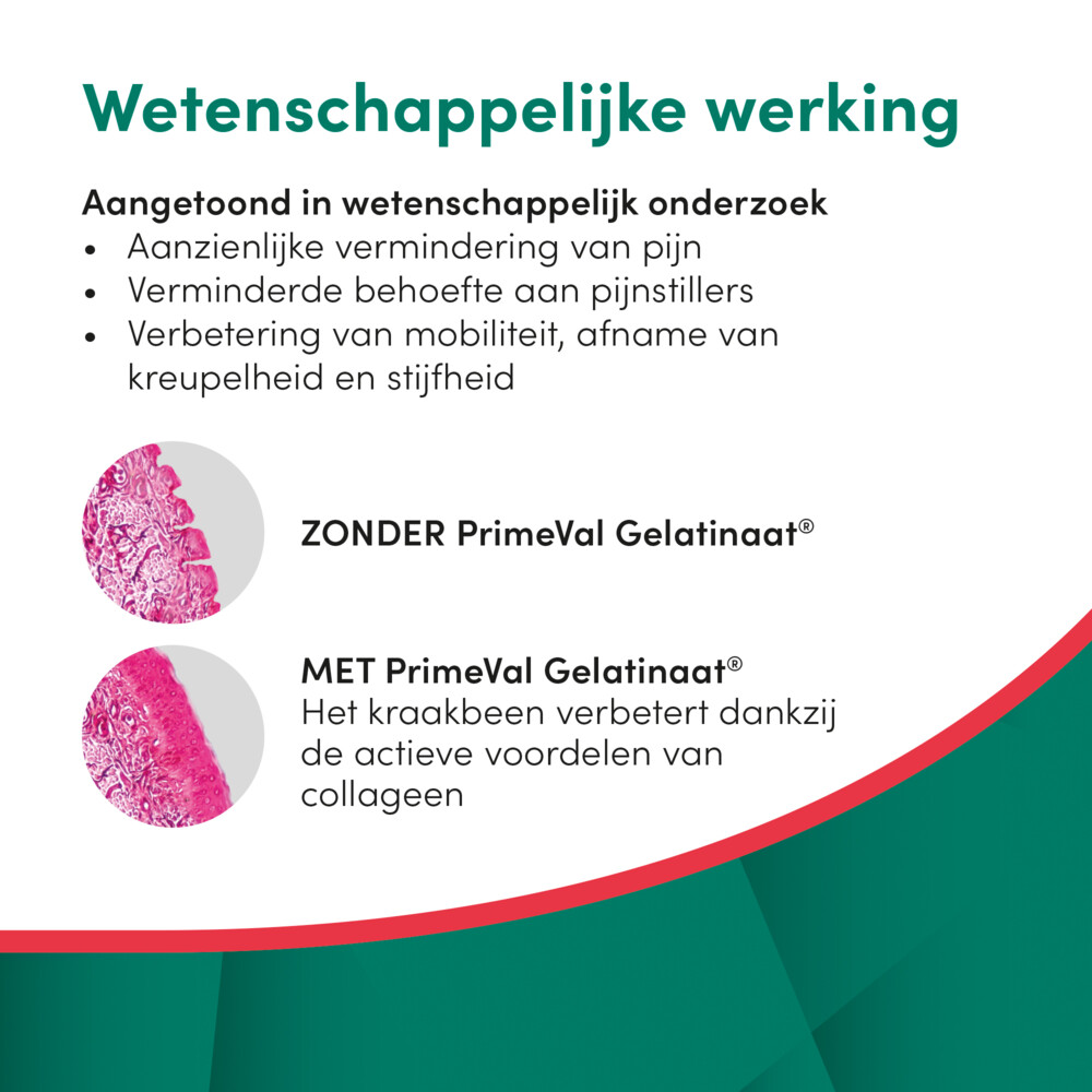 PrimeVal Gelatinaat Gewrichten Hond2 kg