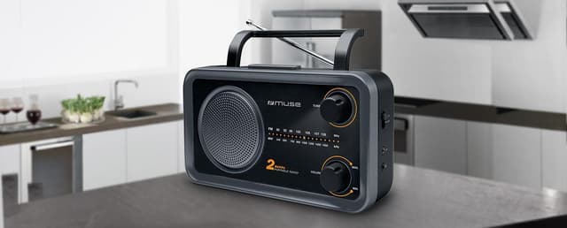 Muse 2-bånds bærbar radio M-06DS Grå, AUX in