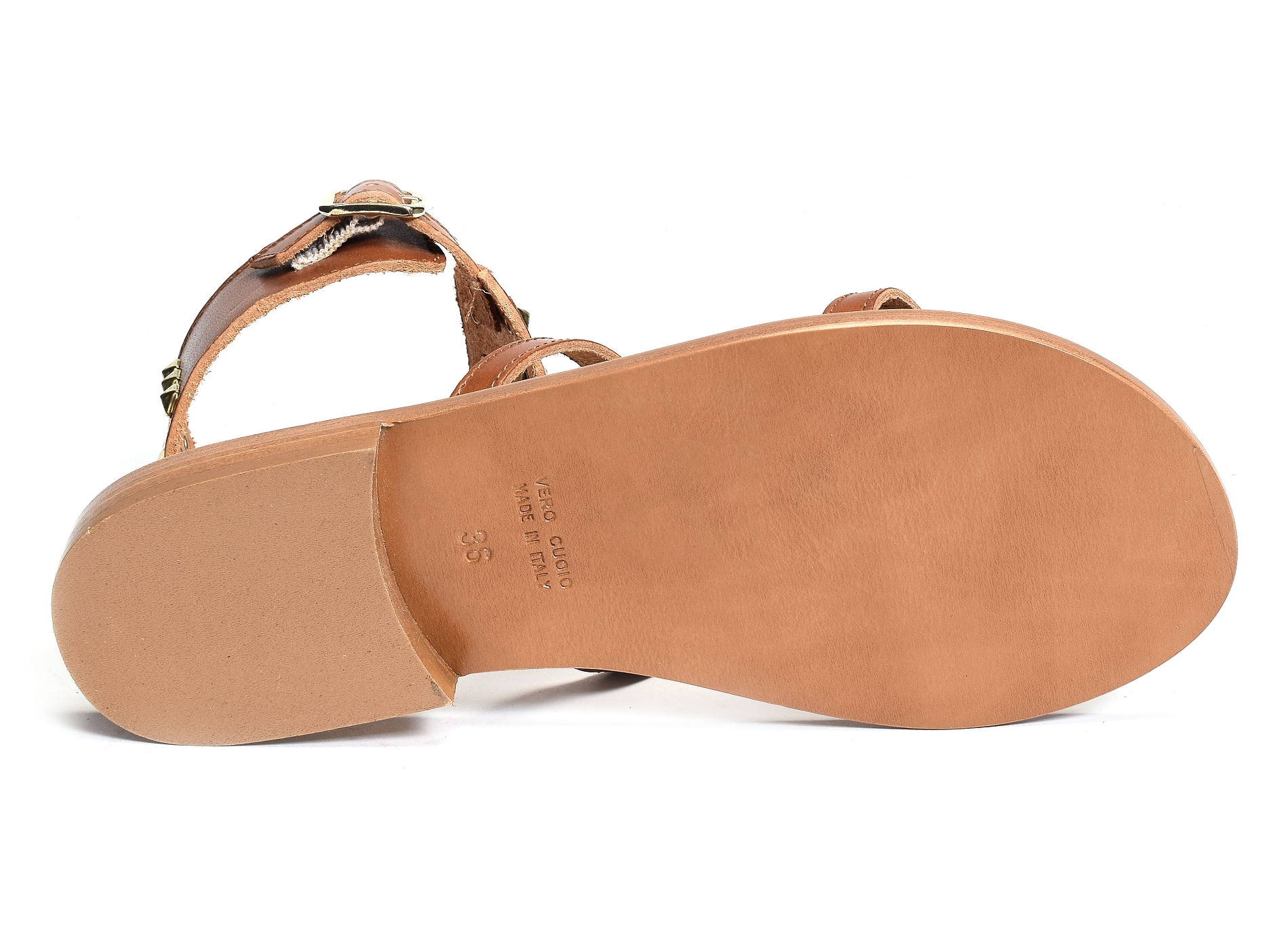 1260 camel