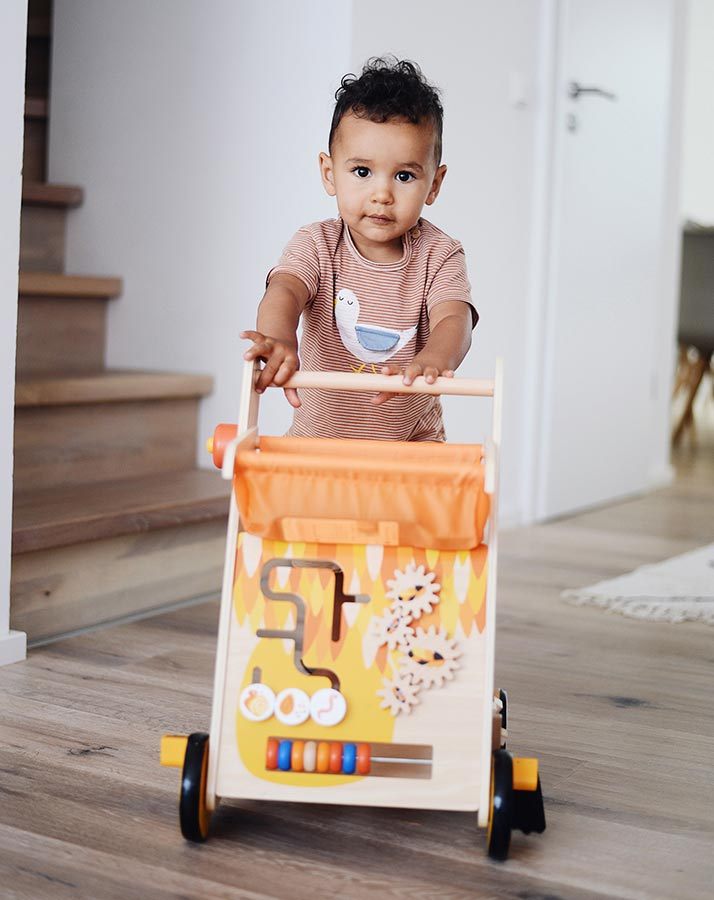 Lauflernwagen TUKAN mit Holzbausteine in orange