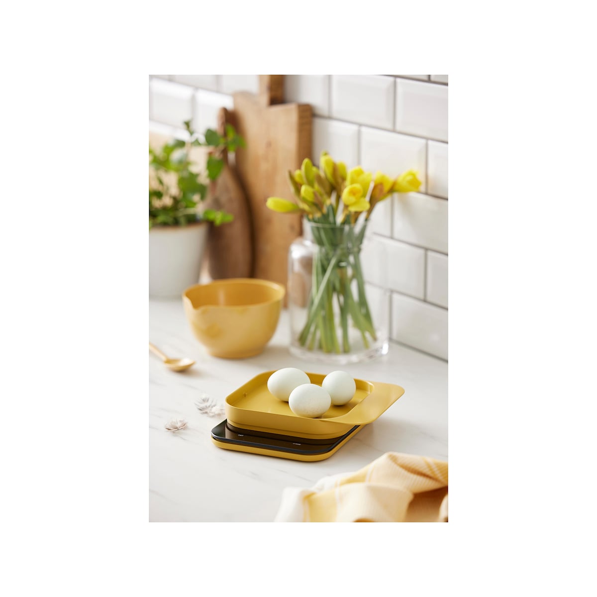 Rosti Mensura Kitchen scale Curry