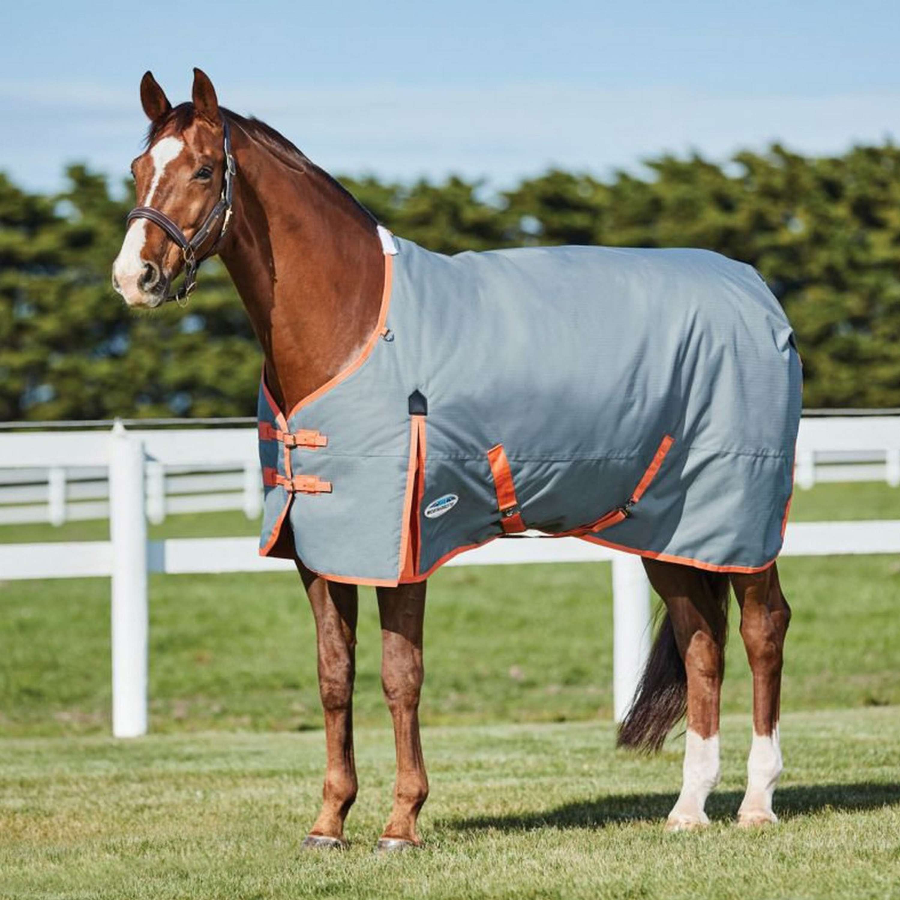 WeatherBeeta Winterdeken ComFiTec Classic Standard Neck Medium/Lite 60