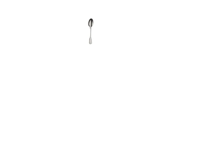 Bestickset 24-del Vittoriale Stenvasket Pintinox