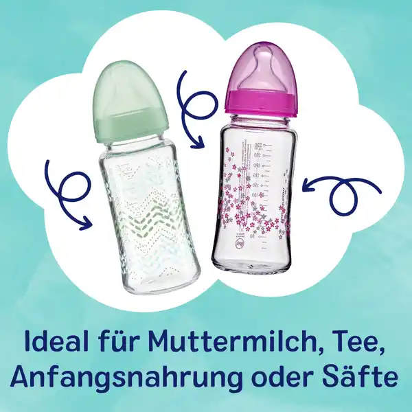 Glas WH-Flasche 230 ml