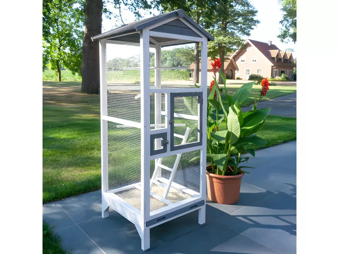Volière Cage à oiseaux en bois de haute qualité 72x60x167cm pour intérieur et extérieur –Modèle « Apollo M 302 »