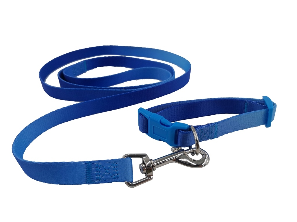 COLEIRA 25-35CM AUCHAN AZUL   TRELA 1.5X120CM