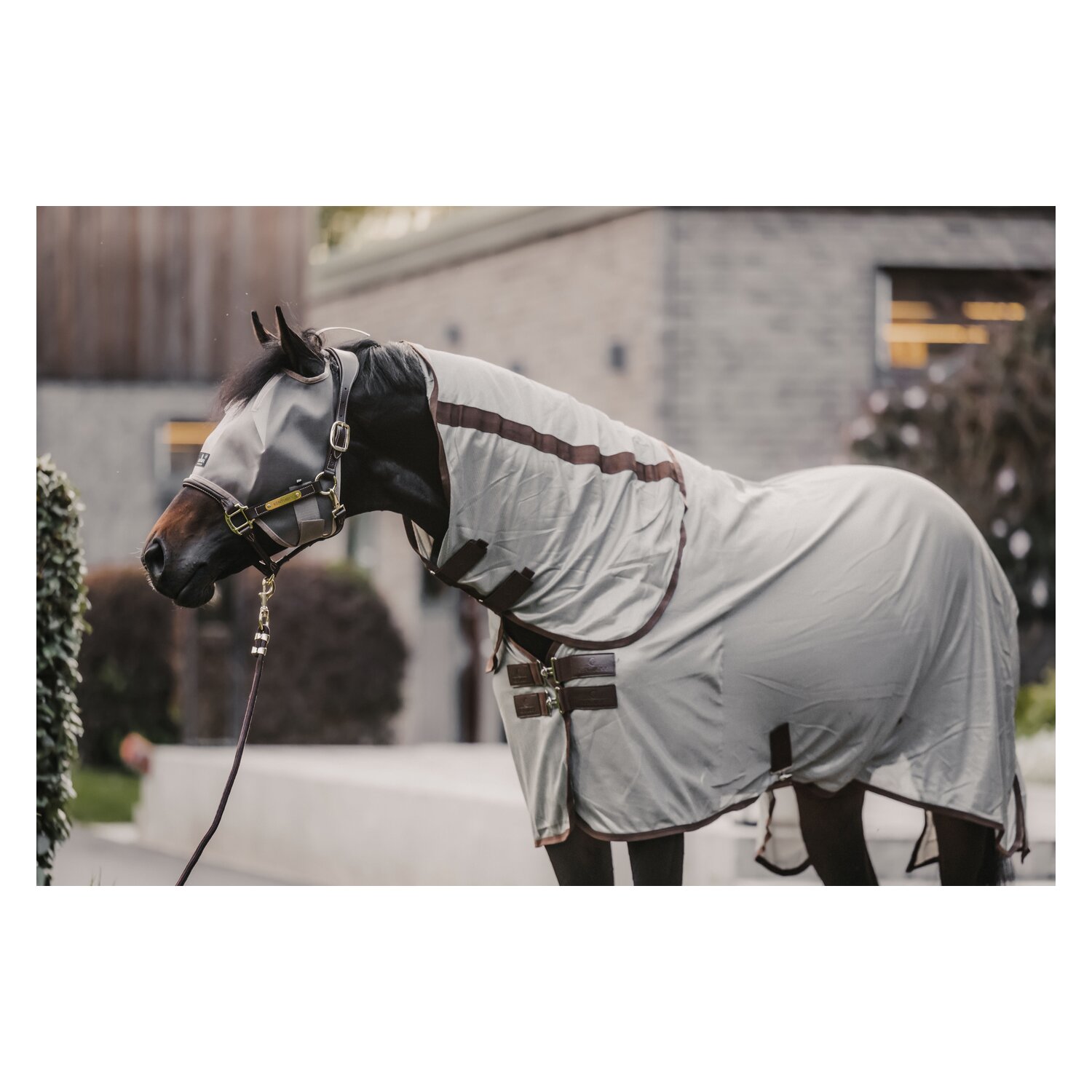 KENTUCKY Fliegendecke Mesh Classic  - silver