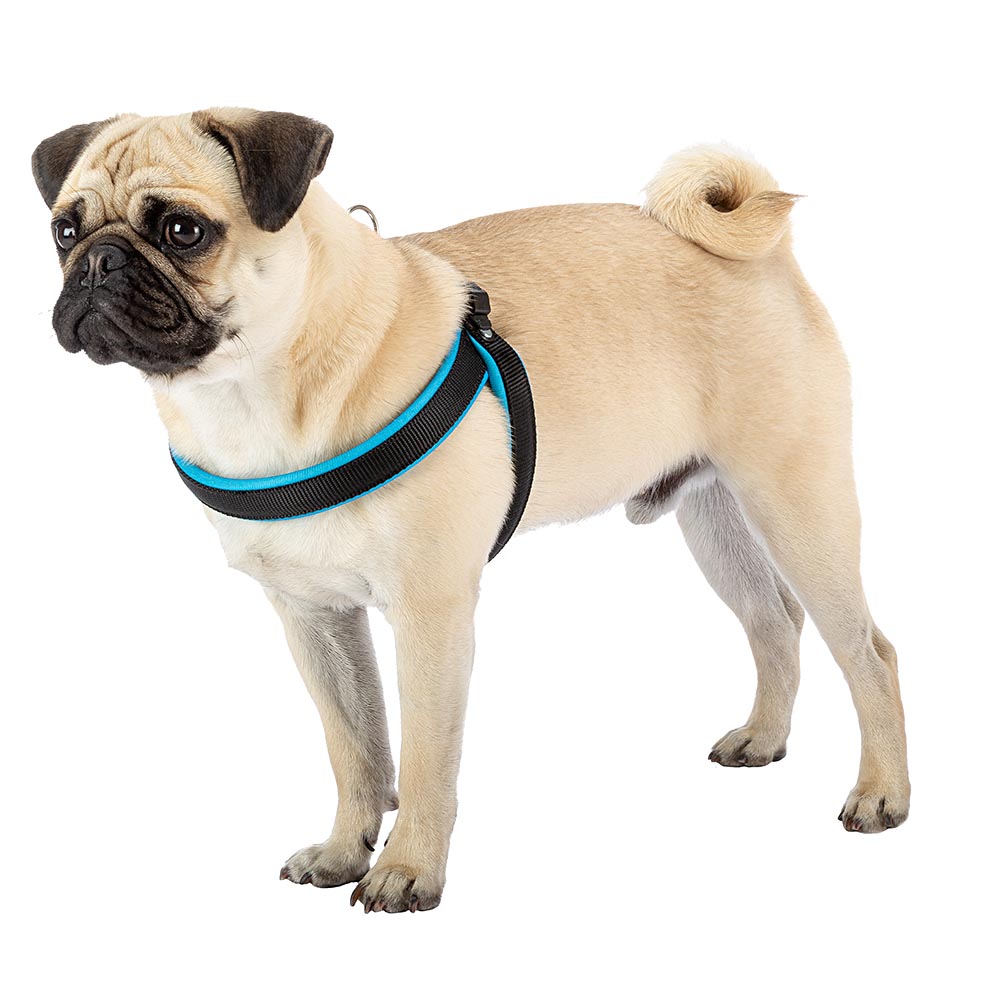 Ferplast harnais ergonomique pour chiens agila fluo 3, ajustement parfait, fermeture pratique avec lacet, rembourrage souple, a=b