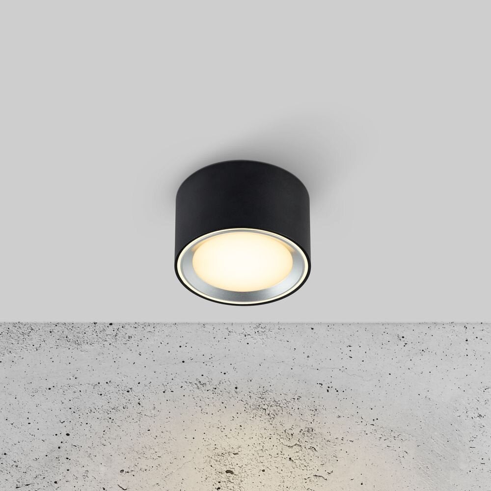 LED plafond opbouwspot Fallon in zwart 8,5W 500lm 60 mm