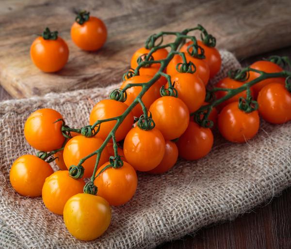 Dehner Premium Samen Cherrytomate 'Sungold F1'