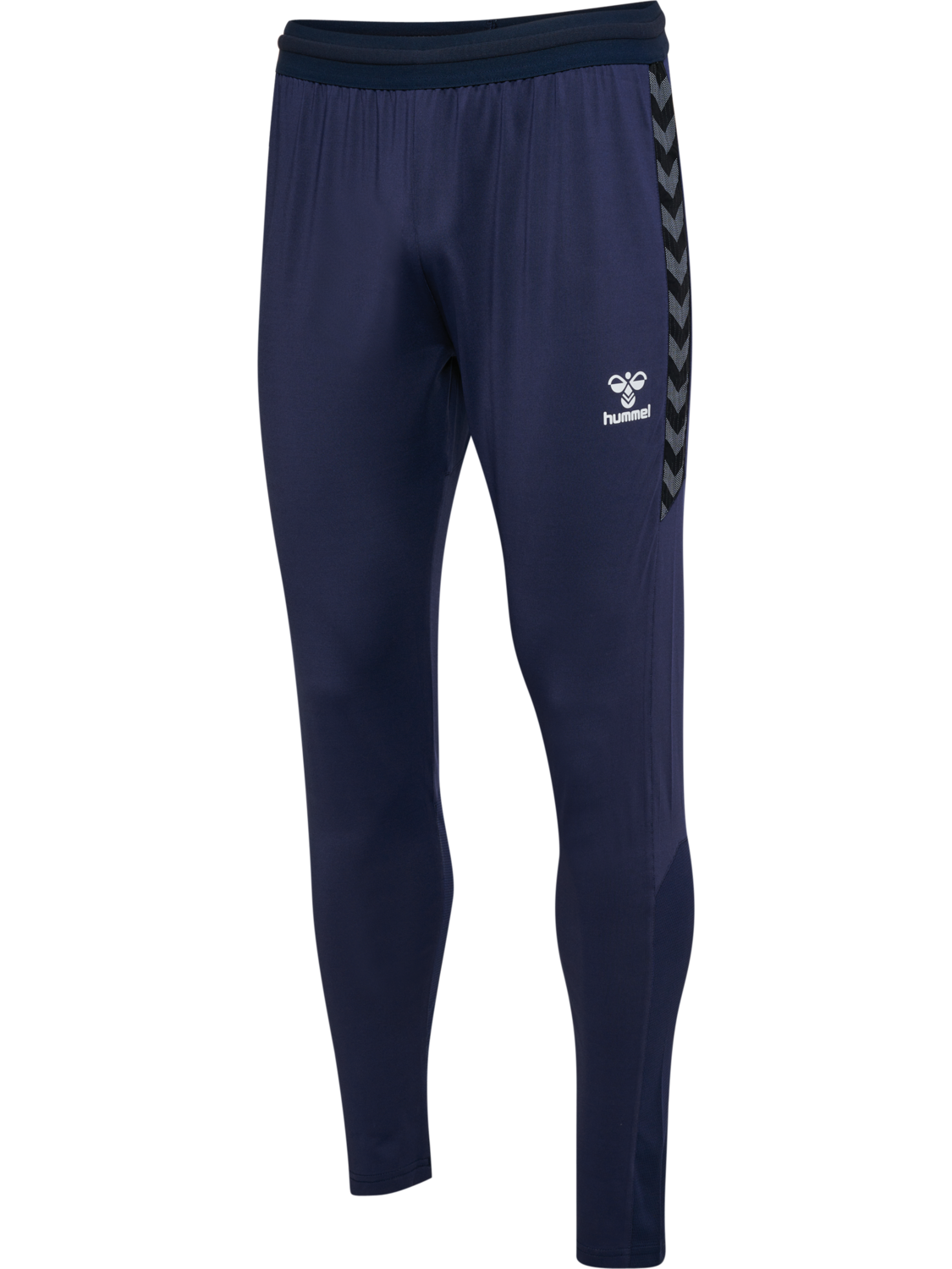 hmlAUTHENTIC PRO PANTS