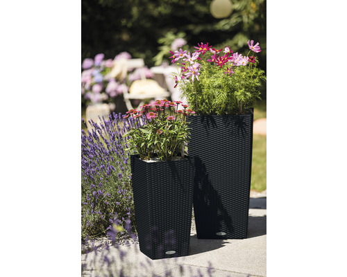 Lechuza Cubico Cottage 40 conische zwarte plantenbak inclusief zelfbewateringssysteem