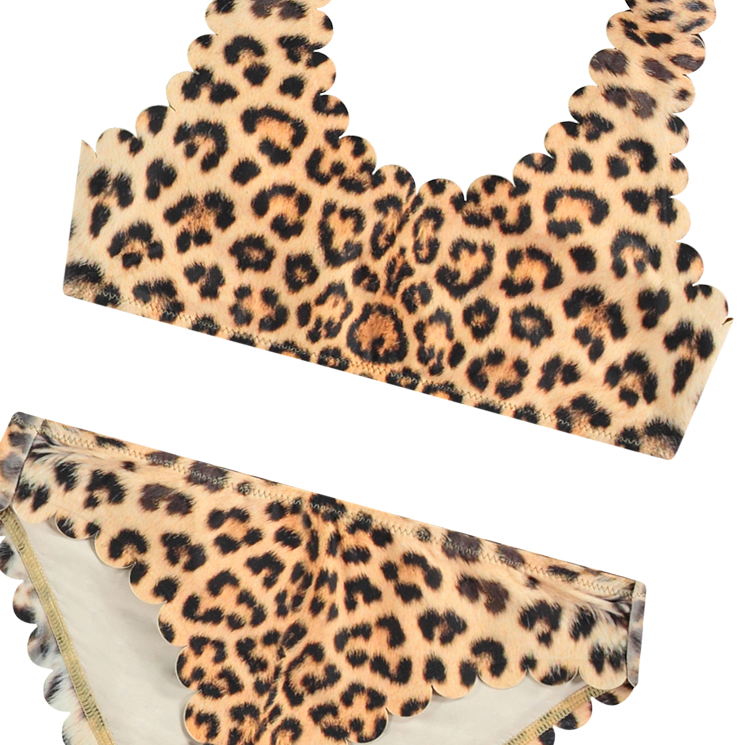 Nolina - Leo Swim