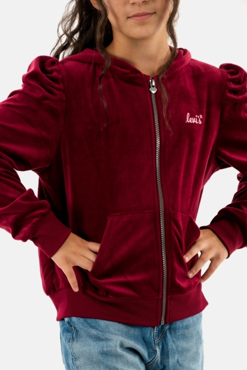 sweat levi's® meet and greet r8e rhododendron